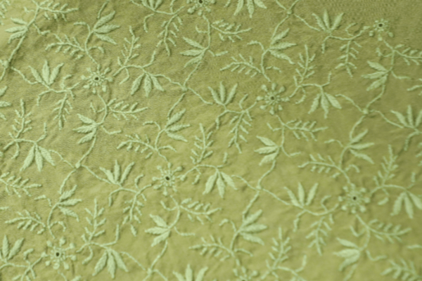 Unparalleled Intricacy of Chikankari Embroideries